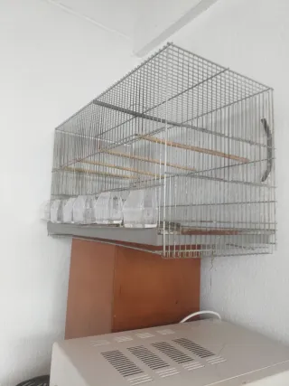 Jaula grande para pájaros