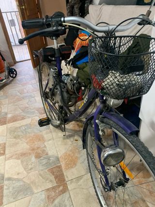 Bicicleta con motor