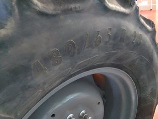 Tractor Lamborghini R3.105 TB Frutero