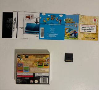 Pokemon Mystery Dungeon Esploratori del Cielo DS