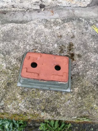 Maceta bonsai cerámica gris y terracota