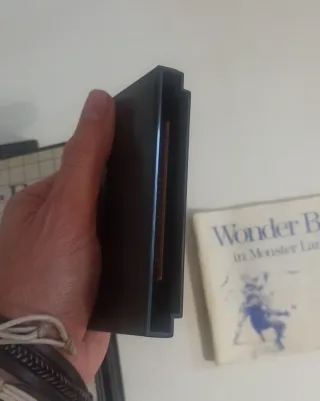 Wonder Boy in Monster Land Master System completo