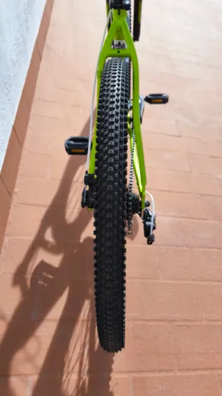 Bicicleta Wolfbike 29 Stripe Verde