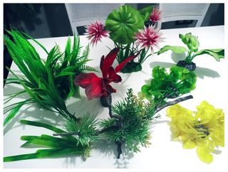 Decorazioni vegetali + sifone manuale per acquari