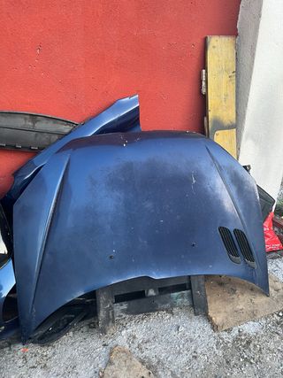 Capó Peugeot 206 Azul