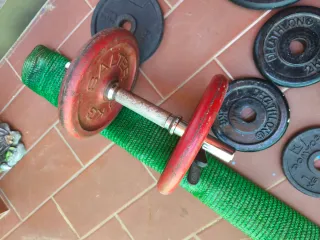 Pesas de gimnasio y discos