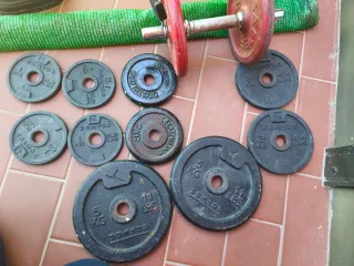 Pesas de gimnasio y discos