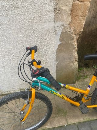 Bicicleta Orbea Moon Infantile