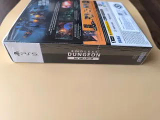 Endless Dungeon Day One Edition PS5
