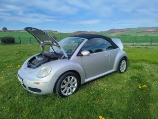 Volkswagen Beetle 2006