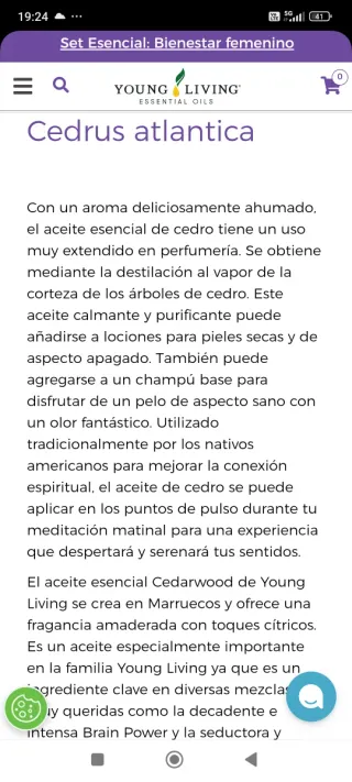 Aceite Esencial Cedro Young Living 15 ml