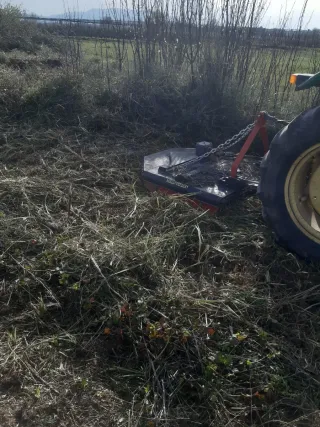 Se realiza trabajos de limpieza de fincas