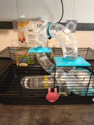 Jaula Hámster con Tubos y Regalo Heno