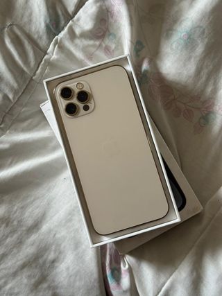iPhone 12 Pro 256GB Dorado Batería 89%