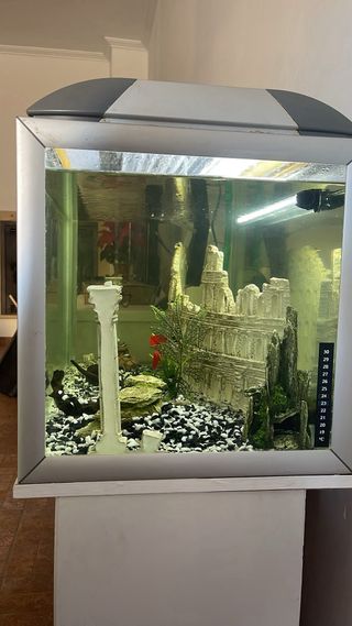 Acuario grande