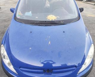 Capot peugeot 307 break / sw (s1)(04.2002) 358189