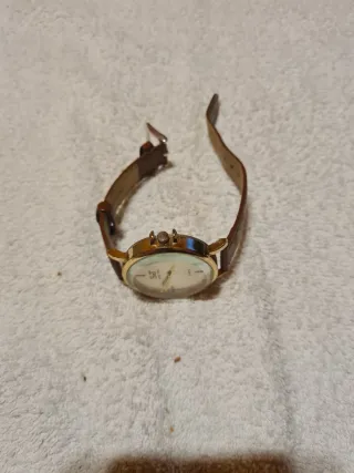 Orologio S&T Seek Time Oro Marrone