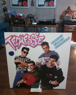 Lote 4 Vinilos Música Española Indie/Pop-Rock