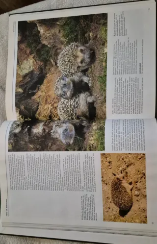 El maravilloso mundo de los animales