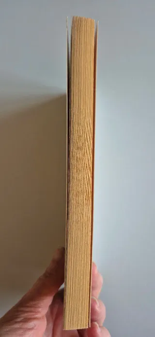 Il diavolo in corpo - Raymond Radiguet