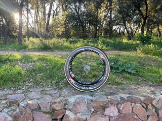 Bicicleta Giant Carbono con Ruote Vision