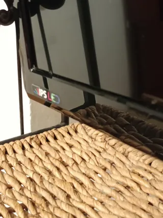 Monitor/Televisor LED LG