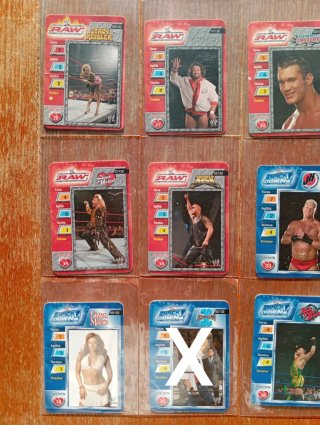 Carte di Wrestling - WWE © 2004