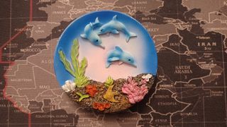 Calamita con delfini e coralli