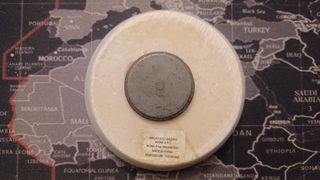 Calamita con delfini e coralli