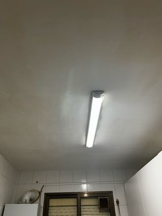 Propinta Profesional: Pintura y Alisado