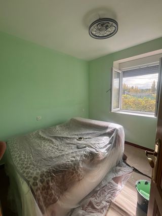 Propinta Profesional: Pintura y Alisado