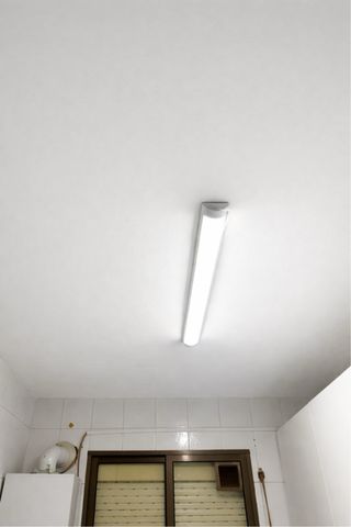 Propinta Profesional: Pintura y Alisado