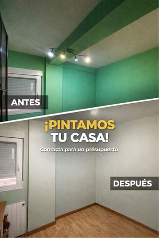 Propinta Profesional: Pintura y Alisado