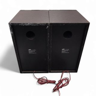 PAREJA DE ALTAVOCES SAMSUNG PS-C430D