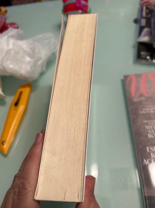 Un futuro prometedor / A Promising Future (Span...