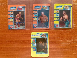 Carte Wrestling WWE 2004