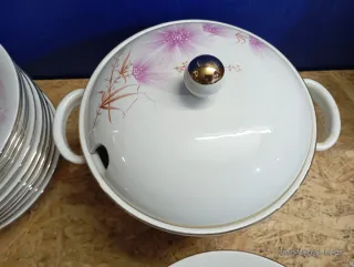 Vajilla Antigua Porcelana