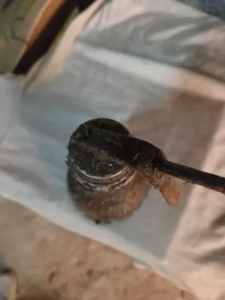 Aceitera Lubricador Vintage