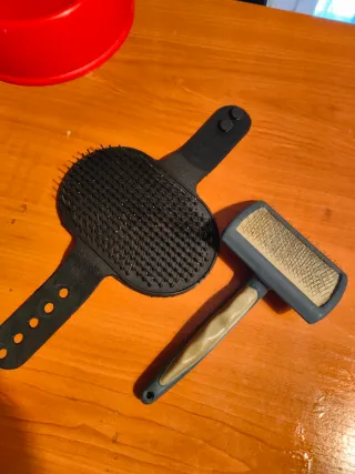 Pack artículos de segunda mano para perros.