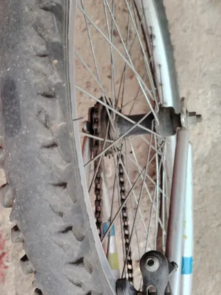 Bicicleta infantile Monty