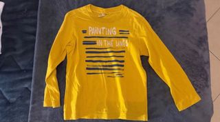 Varias blusas menino