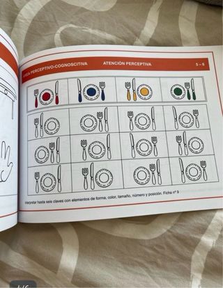 Programa de estimulación para niños de 5-6 años