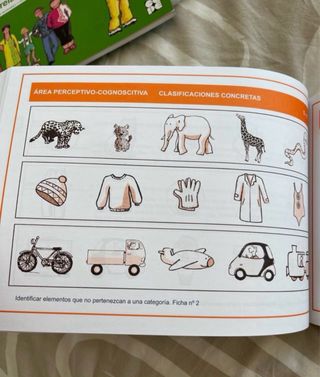 Programa de estimulación para niños de 5-6 años