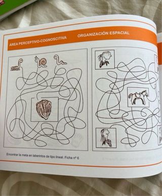 Programa de estimulación para niños de 5-6 años