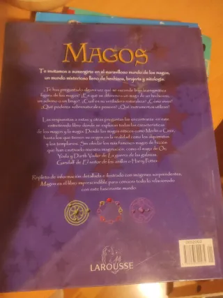 Magos, brujos, hechiceros y adivinos/ Wizards, ...