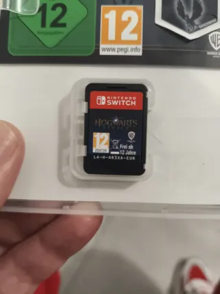 Hogwarts Legacy Nintendo Switch