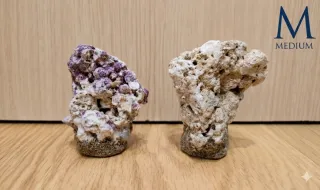 Frag Rack Magnético Coralero Acuario Marino