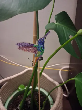 Pinchos Decorativos Colibrí Diamantados