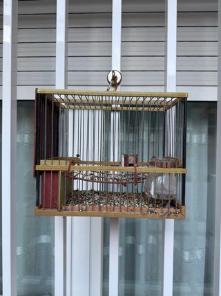 Jaula para jilgueros y pardillos de madera y metal