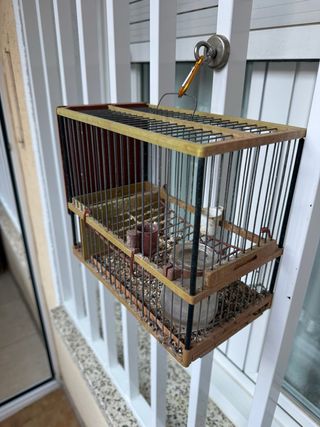 Jaula para jilgueros y pardillos de madera y metal
